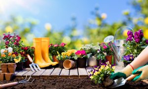 Čtyři zbytečné chyby, kterým se vyhnout při přípravě zahrady na jaro