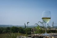 Oslavte jaro s lahodným vínem od Habánů