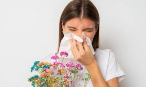 Jarní alergie potrápí až čtvrtinu obyvatel