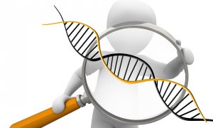 Můžeme kila navíc svádět na genetiku?