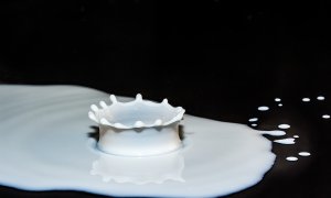 Mléko a mléčné výrobky v palbě mýtů a nesmyslů