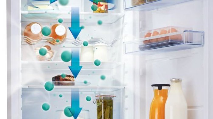 10 tipů, jak vybrat vhodnou ledničku