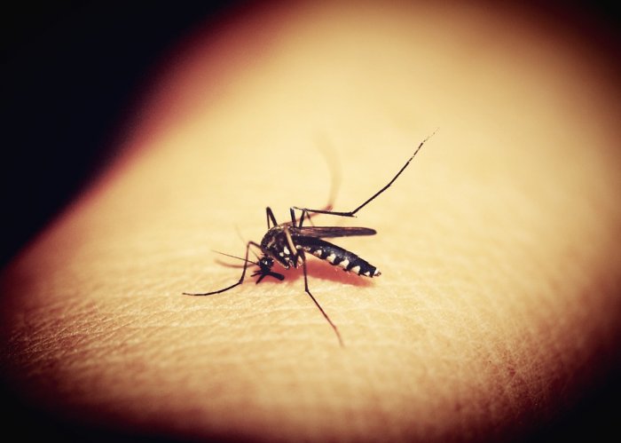 Připravte se na komáry a ušetřete se jejich štípanců