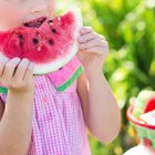 Melounová sezóna: Přinášíme chutné tipy na letní osvěžení