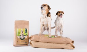 Hrajte o nejzdravější krmivo pro psy od české firmy