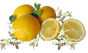 Citrusová péče od Weledy voní každému