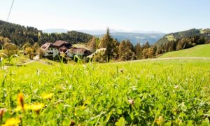 CESTOVÁNÍ: Co ještě vidět z Jižního Tyrolska?