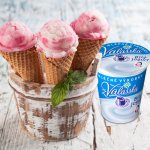 Zmrzlina s Bílým jogurtem z Valašska