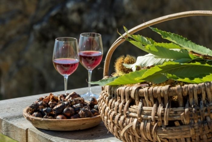 Jihotyrolské dožínky Törggelen: barevné slavnosti sklizně, kaštanů a vína