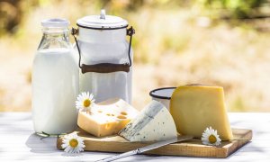 Mléčné výrobky vs. rostlinné náhražky – jak dopadlo srovnání?