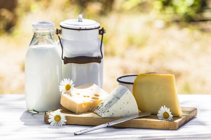 Mléčné výrobky vs. rostlinné náhražky – jak dopadlo srovnání?