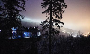Atraktivní večerní prohlídky a pohádková zima na Stezce korunami stromů
