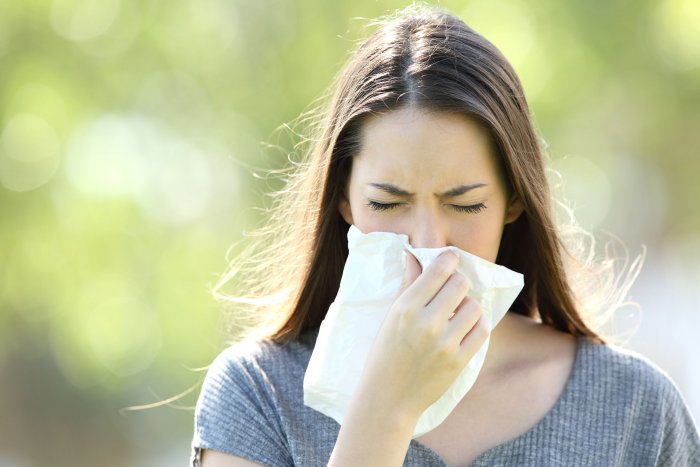 Trápí vás alergie? Kam ano a kam rozhodně nejezdit