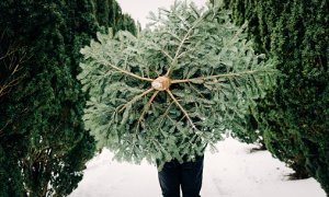 Tip jak naložit se stromkem po Vánocích