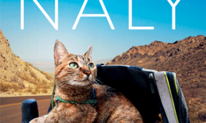 Svět podle Naly: Jeden muž, zachráněná kočka a cesta na kole kolem světa