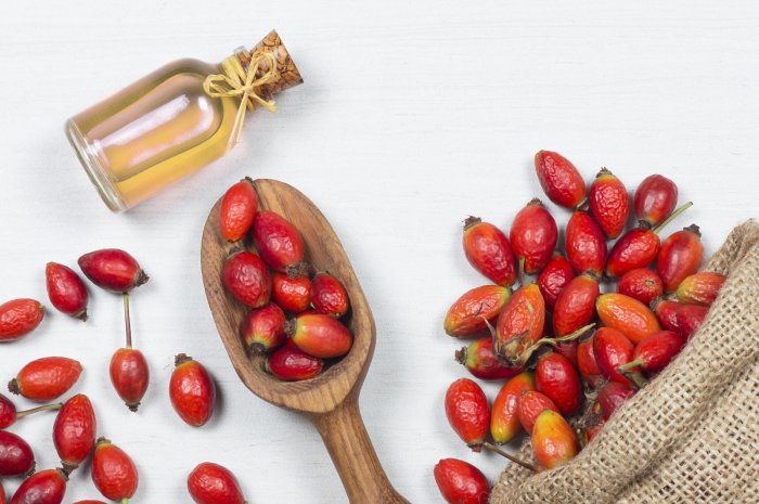 Zdravotní výhody šípků + recept na šípkovou marmeládu