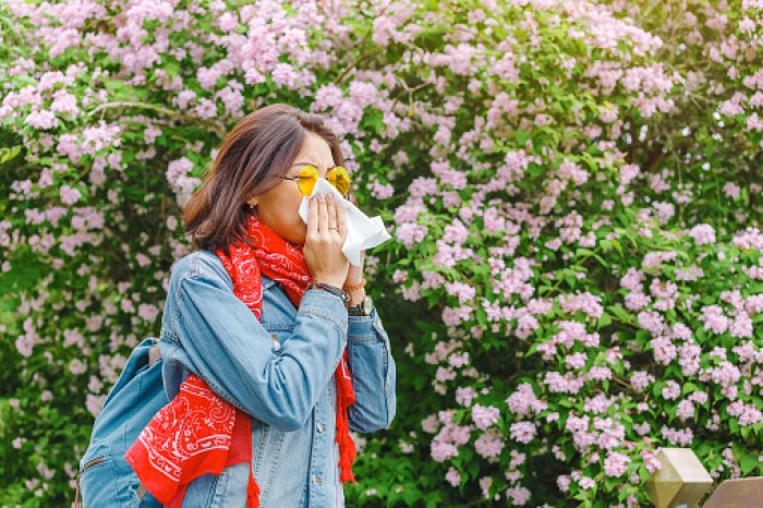 Jak přežít alergickou sezónu?