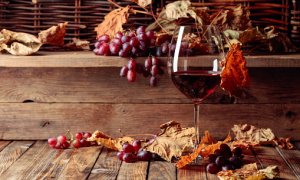 Užijte si barevný podzim se sklenkou výjimečného vína