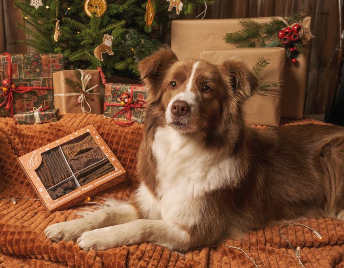 Soutěžte o limitovanou vánoční bonboniéru plnou výběrových přírodních pamlsků pro vaše psy!