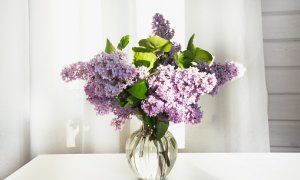 Jarní květinové pohlazení ve vaší koupelně