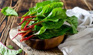 Mangold – ideální zelenina do dietního jídelníčku