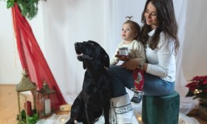 Speciální vánoční menu pro domácí mazlíčky v podobě  českého kapra