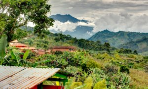 Objevujte svět kávy: Brazílie a Kolumbie