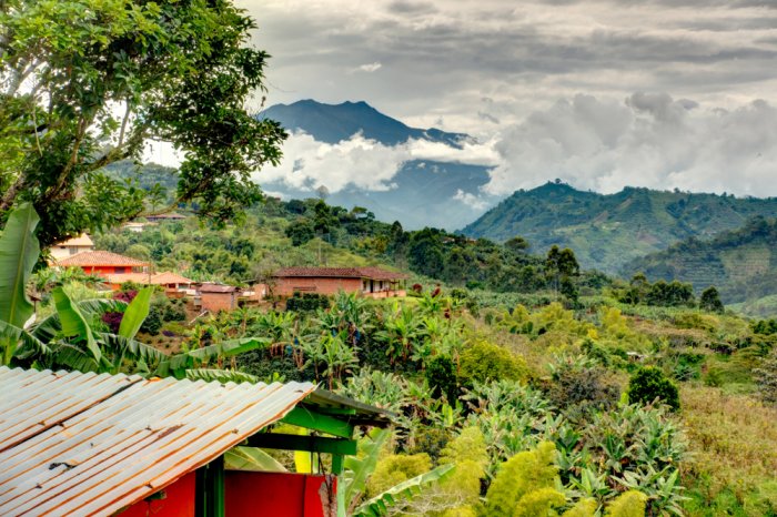 Objevujte svět kávy: Brazílie a Kolumbie
