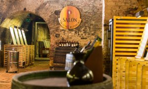 Salon vín České republiky otevírá  své brány veřejnosti