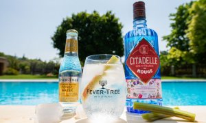 Citadelle Rouge Gin Tonic