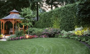 5 základních chyb při budování zahrady