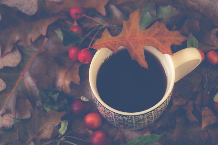 Tip redakce: Podzimní relaxace v objetí kořeněného čaje