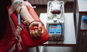 Dárcovství krevní plazmy: Kdy může a nemůže žena darovat?