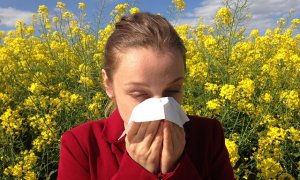 S jarem přicházejí alergie