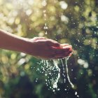 Stále vzácnější voda: Jak s ní šetřit v každodenním životě?