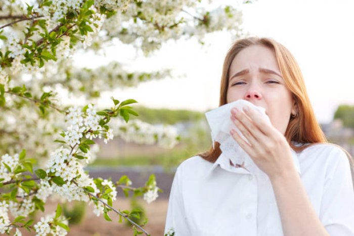 Při alergii nemusíte trpět, uleví inhalace
