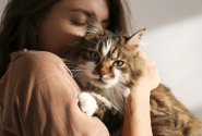 Kočičí přátelství: Proč jsou rituály a rutiny tak důležité?