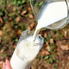 Oslavte Světový den mléka