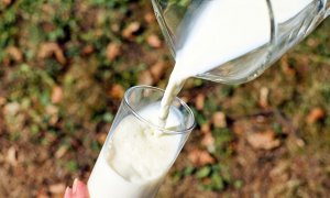 Oslavte Světový den mléka