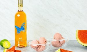 Melounový Rosé sorbet