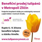 V Metropoli Zličín rozkvetla naděje. Pomozte díky tulipánu onkologický nemocným dětem