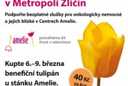 V Metropoli Zličín rozkvetla naděje. Pomozte díky tulipánu onkologický nemocným dětem