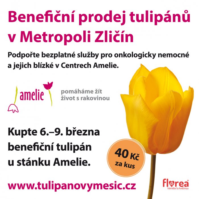 V Metropoli Zličín rozkvetla naděje. Pomozte díky tulipánu onkologický nemocným dětem