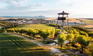 Poznejte s námi úžasná místa na jižní Moravě! Hustopeče a jeho okolí vás volají na návštěvu!