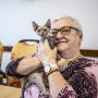 Znáte léčbu kočkou? Tři ze čtyř Čechů o felinoterapii nikdy neslyšeli, přesto je o ní zájem