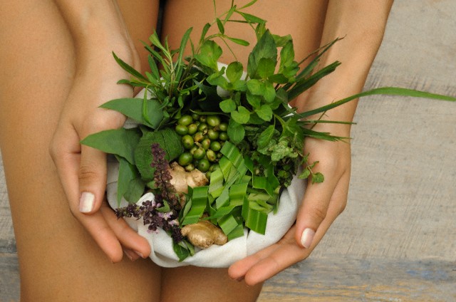 Český lev fandí zelené