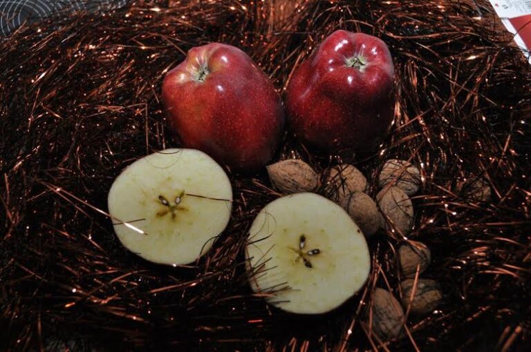 Šaty k Štědrovečerní večeři