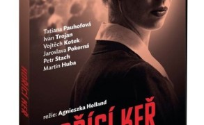 Filmy na DVD – co si aktuálně pořídit?