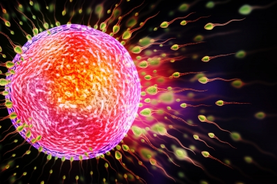 Co jste nevěděli o zrzkách