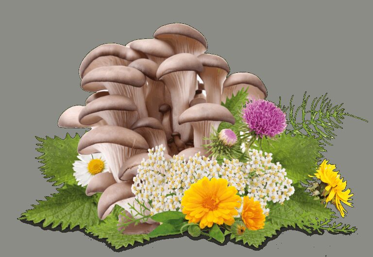 Kniha Digitální dieta pro závislé na moderní technologii